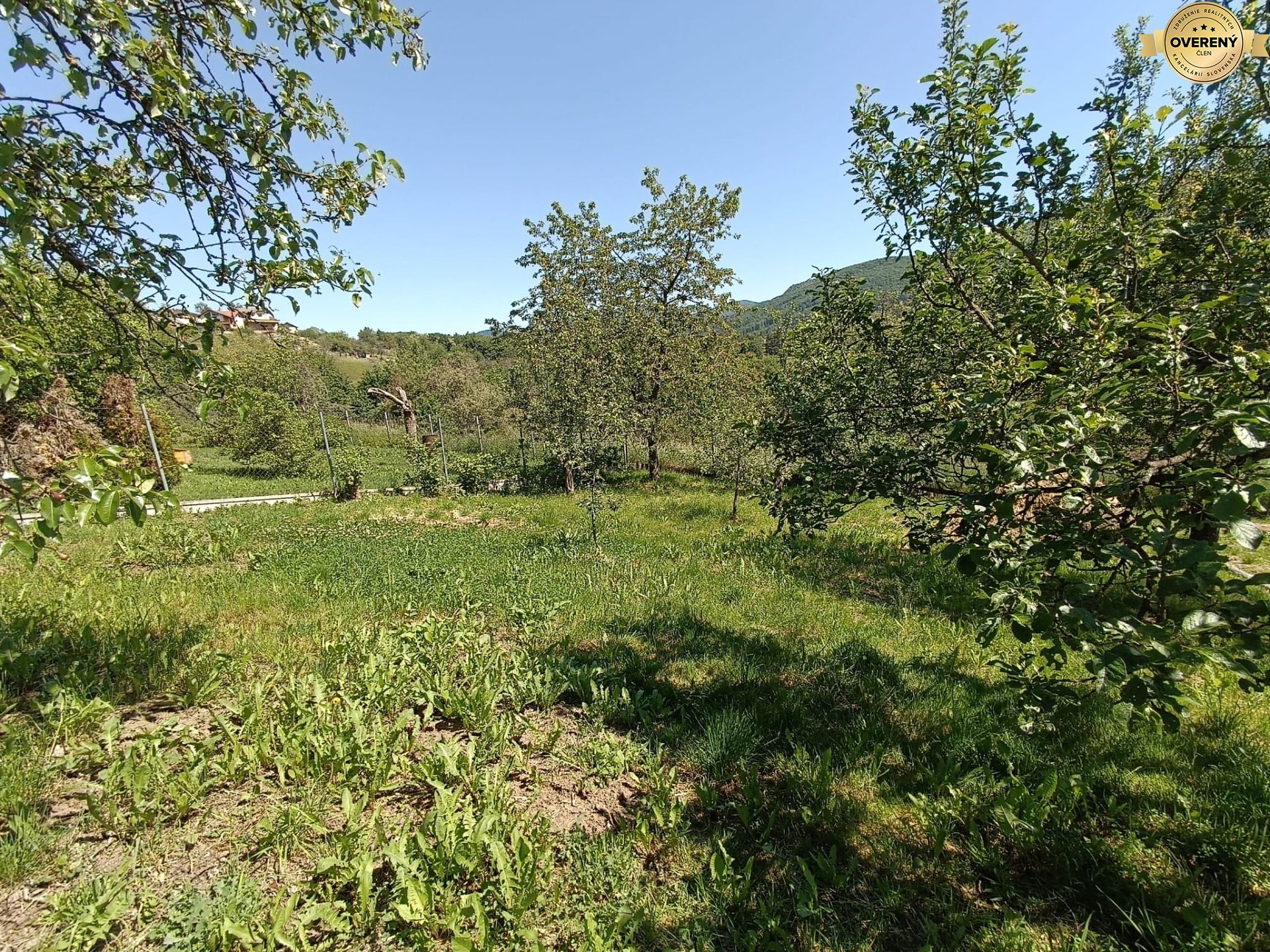 46.jfif