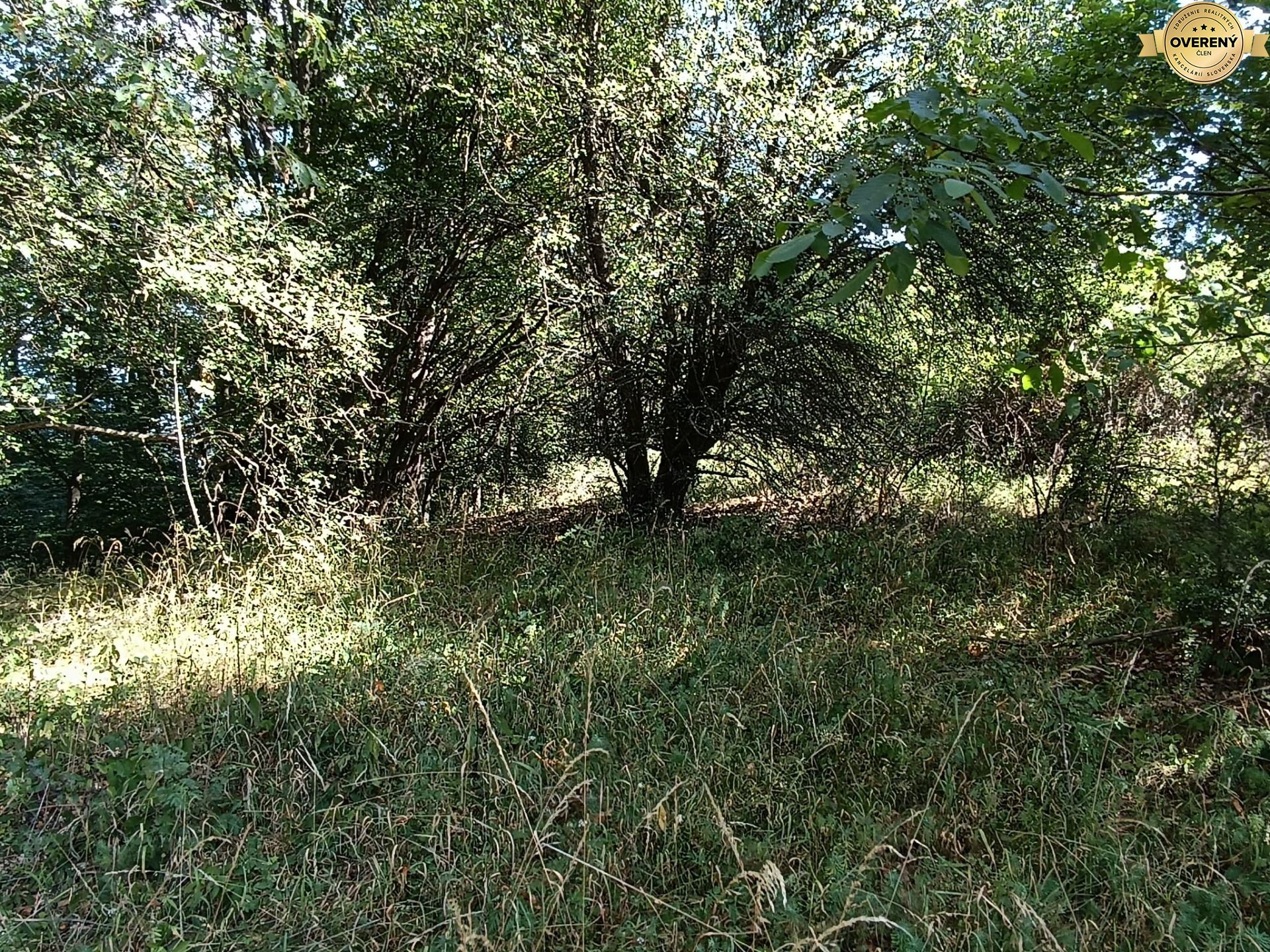 dd371e6b-73dd-4645-9f4a-1acf9b43a234.jfif